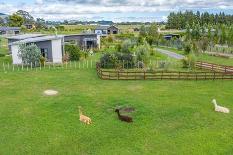 Photo of property in 134 Gladstone Road, Levin, 5571