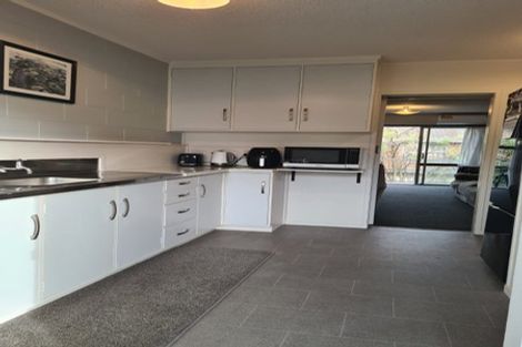 Photo of property in 3g Willoughby Street, Whitiora, Hamilton, 3200