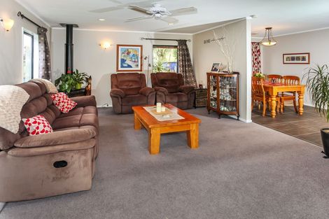 Photo of property in 29 Tyson Lane, Tuakau, 2121