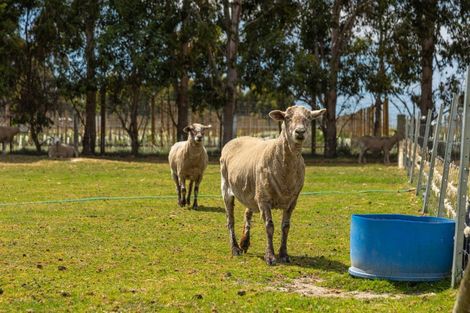 Photo of property in 57 Hardings Road, Riverlands, Blenheim, 7274