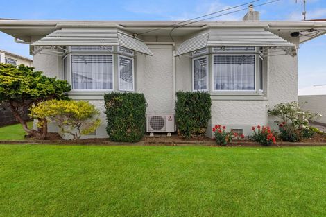 Photo of property in 47 Lemon Street, New Plymouth, 4310