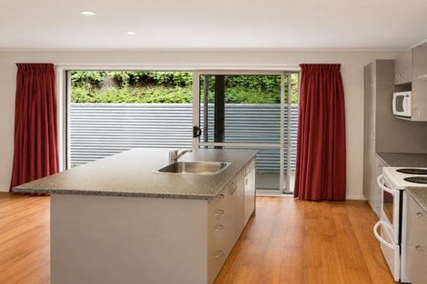 Photo of property in 45b Lees Street, Dunedin Central, Dunedin, 9016