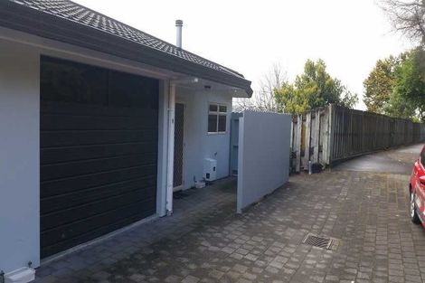 Photo of property in 8a Radnor Street, Hamilton Central, Hamilton, 3204