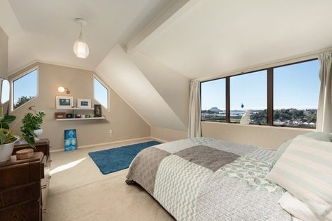 Photo of property in 2/19 Clarke Street, Gate Pa, Tauranga, 3112