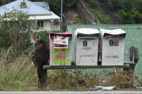 Photo of property in 9 Guys Hill Road, Hospital Hill, Napier, 4110