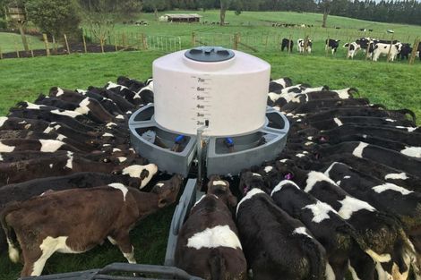 Photo of property in 1128d Omanawa Road, Omanawa, Tauranga, 3171