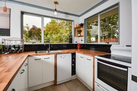 Photo of property in 28b Uxbridge Street, Renwick, 7204