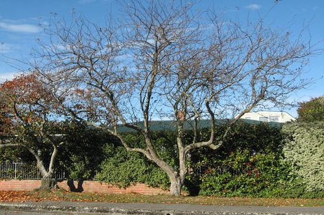 Photo of property in 26 Chepstow Avenue, Fendalton, Christchurch, 8052