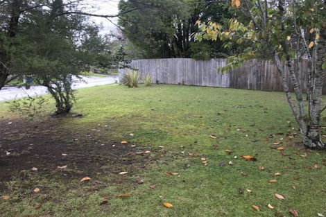 Photo of property in 117 Vodanovich Road, Te Atatu South, Auckland, 0610