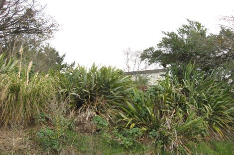 Photo of property in 1 Mount Street, Waikouaiti, 9510