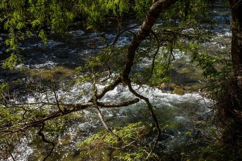 Photo of property in 101 Gowan Valley Road, Gowanbridge, Murchison, 7077