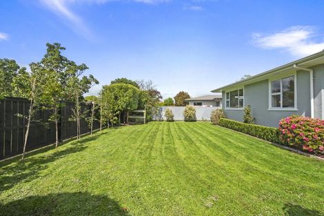 Photo of property in 42 Park Road, West End, Palmerston North, 4412