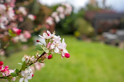 Photo of property in 13 Kereru Street, Maunu, Whangarei, 0110