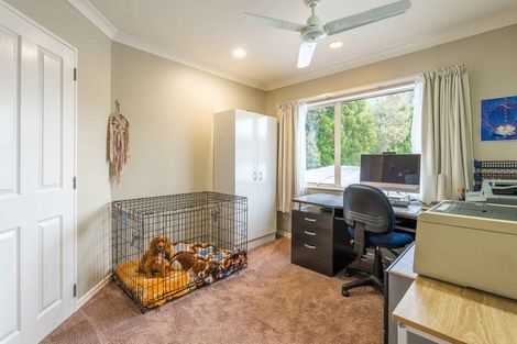 Photo of property in 14 Estates Terrace, Welcome Bay, Tauranga, 3175