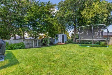 Photo of property in 101 Te Tomo Street, Te Awamutu, 3800