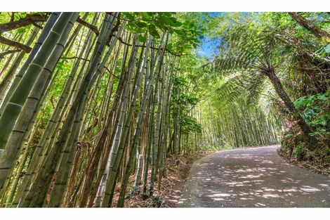 Photo of property in 854 West Coast Road, Waiatarua, Auckland, 0604