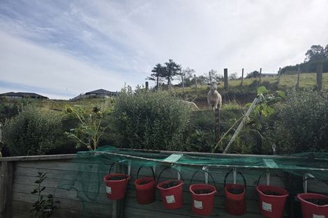 Photo of property in 344 Tukapa Street, Hurdon, New Plymouth, 4310