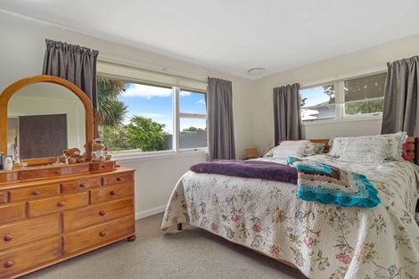 Photo of property in 18 Rapley Street, Hampstead, Ashburton, 7700