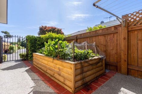 Photo of property in 66 The Drive, Paraparaumu Beach, Paraparaumu, 5032