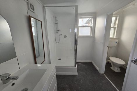 Photo of property in 101 Daniell Street, Newtown, Wellington, 6021