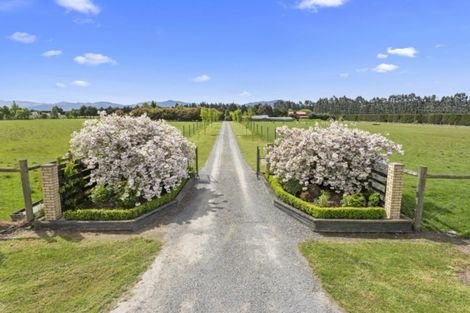 Photo of property in 248 Hodgsons Road, Loburn, Rangiora, 7472
