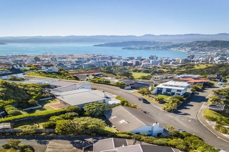 Photo of property in 3 Puketiro Avenue, Northland, Wellington, 6012