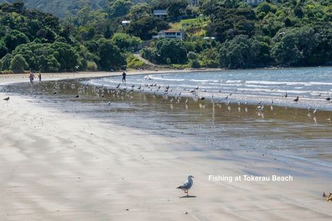 Photo of property in 12 Bay Heights Drive, Karikari Peninsula, 0483