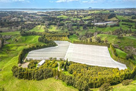 Photo of property in 231 Walford Road, Aongatete, Katikati, 3181