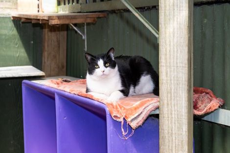 Photo of property in 24 Mill Road, Clive, 4102