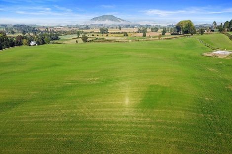 Photo of property in 163 Saint Leger Road, Kihikihi, Te Awamutu, 3875