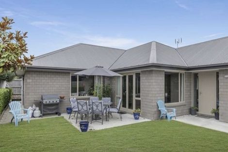 Photo of property in 22 Larne Place, Belfast, Christchurch, 8051