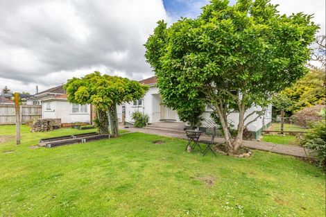 Photo of property in 18 Hannan Street, Levin, 5510