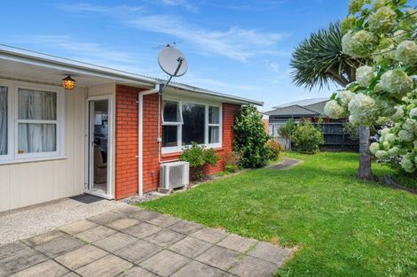 Photo of property in 1/208 Fourteenth Avenue, Tauranga South, Tauranga, 3112