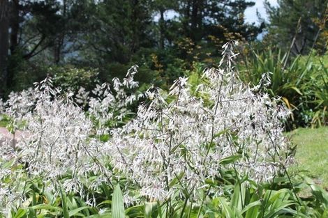 Photo of property in 93b Colville Road, Coromandel, 3584