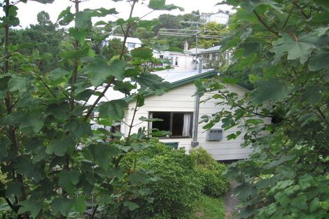 Photo of property in 17 Mortimer Terrace, Aro Valley, Wellington, 6021