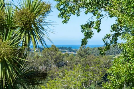 Photo of property in 155 Main Road, Fairfield, Dunedin, 9018