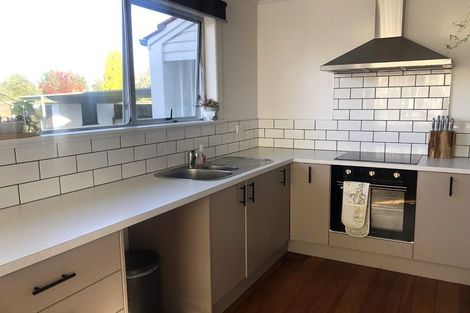 Photo of property in 197 Maeroa Road, Maeroa, Hamilton, 3200