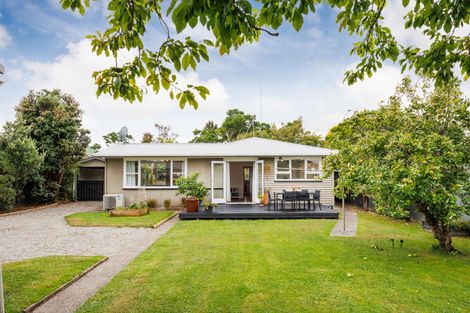 Photo of property in 382 Ruahine Street, Terrace End, Palmerston North, 4410