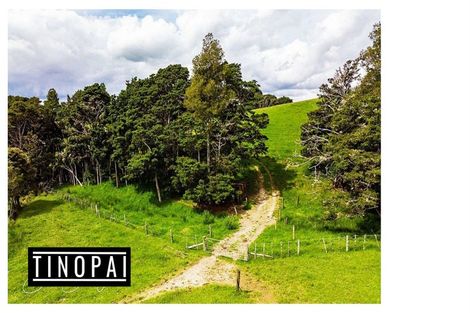 Photo of property in 1509 Tinopai Road, Tinopai, Matakohe, 0593