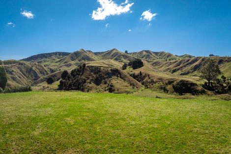 Photo of property in 2106b Kahuranaki Road, Elsthorpe, 4295