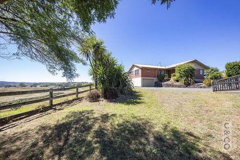 Photo of property in 93 Lloyd Road, Riverhead, Albany, 0793