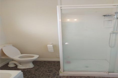 Photo of property in 41 Paisley Street, Awapuni, Palmerston North, 4412