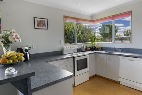 Photo of property in 34 Page Street, Redwoodtown, Blenheim, 7201
