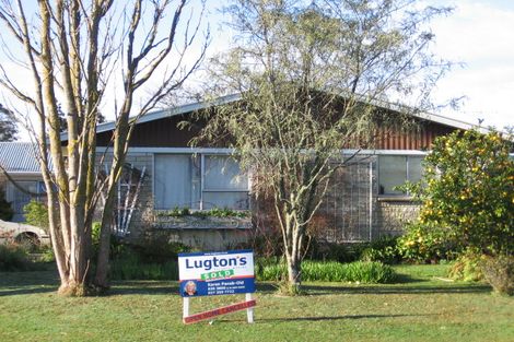 Photo of property in 3a Durham Street, Nawton, Hamilton, 3200