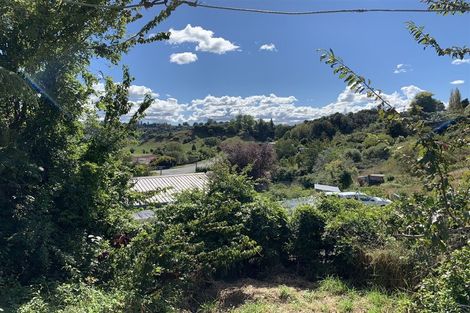 Photo of property in 38 Kakamutu Road, Otorohanga, 3900