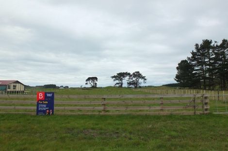 Photo of property in 41 Totara Park Road, Foxton, 4891