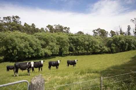 Photo of property in 120 Summerleaze Road, Pareora West, Timaru, 7971