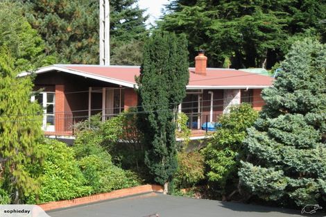 Photo of property in 19 Centennial Avenue, Helensburgh, Dunedin, 9010
