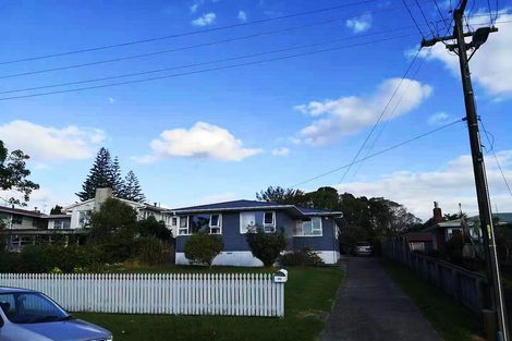 Photo of property in 60 Webster Avenue, Mount Roskill, Auckland, 1041