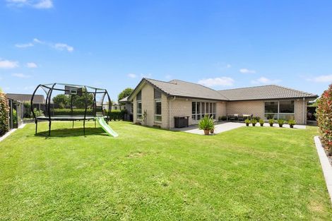 Photo of property in 23 Bramber Street, Flagstaff, Hamilton, 3210